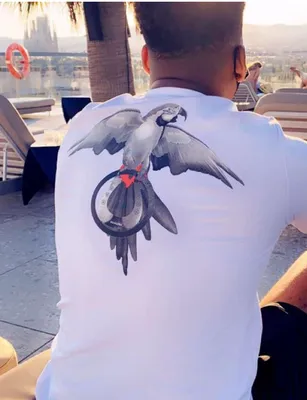 tshırt 