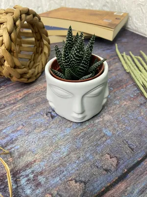  buddha theme concrete succulent flower pot